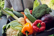 © Westend61 - Fresh and organic vegetables in box held by delivery person
