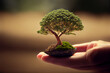 Stock Photo for Sustainable Environment Concept: Tree and Protection