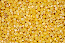Millet Ground, Grits From Round Yellow Grains In Bulk, Close-up Macro View, Background Wallpaper, Uniform Texture Pattern