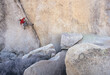 © Cavan Images - Man rock climbing in Joshua Tree National Park, California, USA