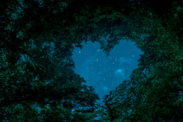 Poster - a panorama spring forest trees in the center of the heart on Valentine's Day