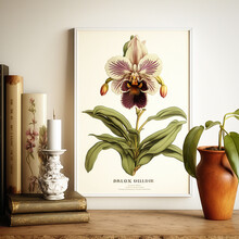 Home Decor: Objects Still Life And A Framed Botanical Print With A Wild Orchid, Made With Generative AI