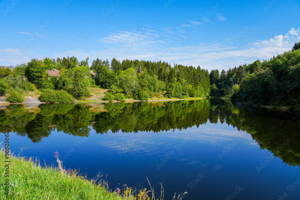 Landscape At The Unterer Eschenbacher Teich Nature At The Lake Near 