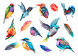 Watercolor collection of birds. Various colorful birds on a white background