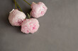 Three peonies on a gray horizontal texture background.