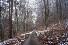 Road Leading Towards In Winter Forest With Snow
