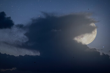 Wall Mural - rising full moon in a beautiful night