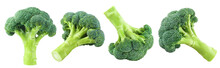 Delicious broccoli collection cut out