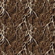Seamless  pattern. Potent rhizomes  against the background of brown soil. Texture monochrome