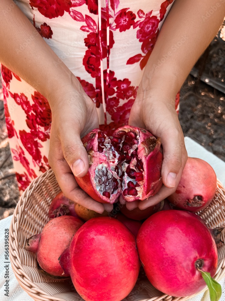 Woman with red pomegranates on farm, closeup
