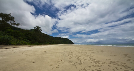 Wall Mural - beaches in the daintree