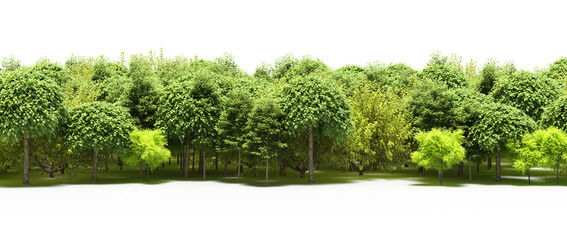 forest line with shadows under the trees, isolated on transparent background, 3D illustration, cg render