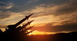 © hamara - The missiles are aimed to the sky at sunset. Nuclear bomb, chemical weapons, missile defense, a system of salvo fire.