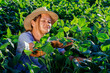 farmer analyzing her soy plantation