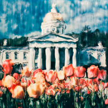 Polaroid Manipulation Of The Front Of The Vermont State House With Tulips, Taken In Spring. (polaroid Manipulation)