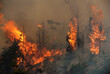 © Cavan Images - Controlled burn on the Okanogan National Forest, WA.