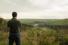 Farmer From Behind Looking To Green Hills With Eucalyptus Forest And Cerrado Areas