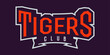 Bold sports font for tiger mascot logo. Text style lettering for esport, mascot logo, sport team, college club. Font on ribbon. Vector illustration isolated on background