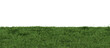 Grass on transparent background. Meadow, lawn as foreground. Lower frame, border. Cut out graphic design element. 3D rendering.