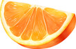 Sliced Orange Fruit Isolated Hand Drawn Painting Illustration