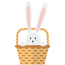 Cute Bunny In Basket
