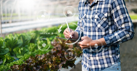  Man hands gardening lettuce in farm  with growth process and chemical formula on green background. With VR icon.