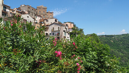 Traditional Italian landscape. Hill town Genzano di Roma, small village with Palazzo Sforza Cesarini palace on the top, and old houses around. Ancient cityscape in Italy, Lazio region, Latina province