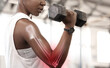 © Lauren Kaylor/peopleimages.com - Bone hologram overlay, black woman athlete and weight training of a strong female athlete. Gym workout, strength exercise and arms muscle gain with red joint inflammation illustration with fitness