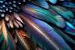 Abstract colorful bright feather closeup up macro view background. Plumage texture