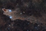 Fototapeta Na sufit - Shark Nebula