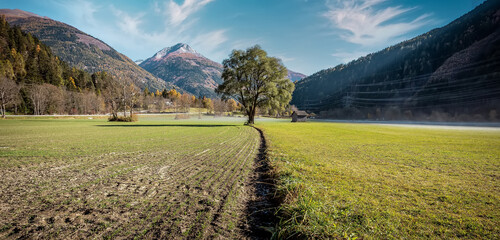 Fototapete - Foggy summer landscape with green rural field in the Alps with beautiful fresh green mountain pastures and mountain tops in the background. Rich harvest concept. Creative image.