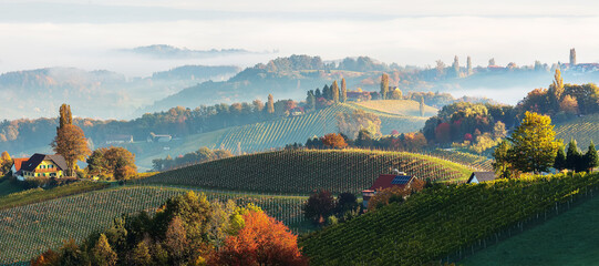 Aufkleber - Scenic foggy landscape during sunset. Great panorama of beautiful countryside with fog over the valley in Austria. Gamlitz, Austria, Eckberg. Rich harvest concept. Popular travel destination.
