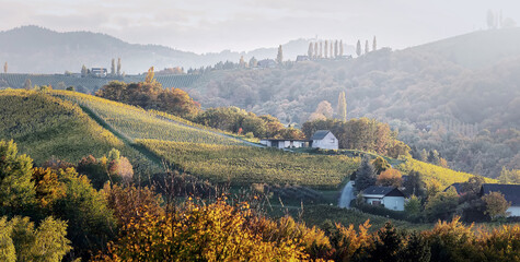 Poster - Incredible nature scenery with vineyards in autumn. South Styria, Gamlitz, Austria, Eckberg, Europe. Grape hills view from popular road during sunset. Panorama. Stunning vineyards landscape