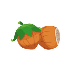 Wall Mural - Hazelnut sticker. Vector illustration of cute fall item. Cartoon hazelnut isolated on white background. Autumn decor concept