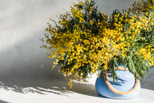 Vase With Spring Yellow Mimosa Flowers