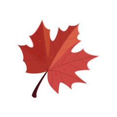 Wall Mural - Red leaf sticker. Vector illustration of cute fall item. Cartoon leaf isolated on white background. Autumn decor concept