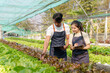 © amnaj - Hydroponics. Smiling young Asian couple farmer harvest organic vegetable salad from farm garden.