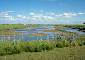 Marais breton vendéen, Pays de la Loire, 85, Vendée, France