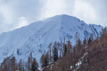 Sticker - The Valtellina mountains, with its pastures, woods and fresh snow, during a wonderful winter day near the village of Sondrio, Italy - January 2023.