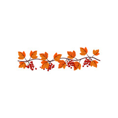 Wall Mural - Autumn garland with maple leaves and rowanberries. Vector illustration of fall garland. Cartoon garland with leaves and berries isolated on white. Thanksgiving decor concept