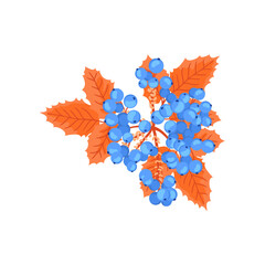 Wall Mural - Magonia holly branch with blue berries flat vector illustration. Cartoon drawing of seasonal autumn tree with orange leaves on white background. Autumn or fall, season, flora concept