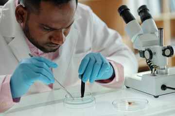 Wall Mural - Biology student examining dead insect to figure out cause of its death