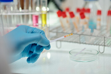 Wall Mural - Hand of researcher showing stripe of litmus paper that changed colour in response to the acidity of the solution