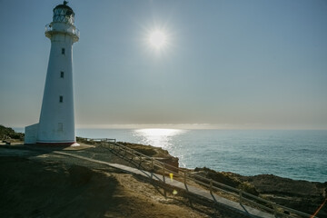 Poster - Castle Point Lighthouse and coastline