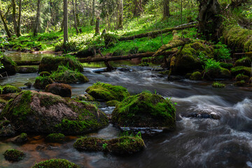 Canvas Print - A small forest stream with sandstone outcrops, ligatne