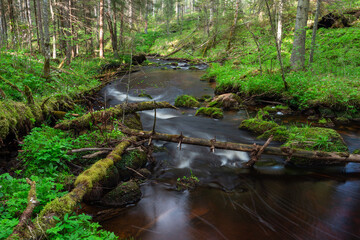 Wall Mural - A small forest stream with sandstone outcrops, ligatne