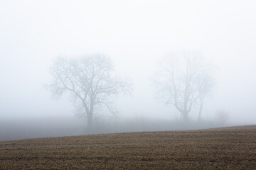 Sticker - Cultivated crop fields in the spring