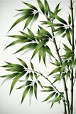 Fototapeta Sypialnia - Bamboo plant with green stems and leaves, Generative AI