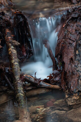 Canvas Print - A small forest stream with sandstone outcrops