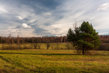 Sticker - Spring in the Latvian countryside